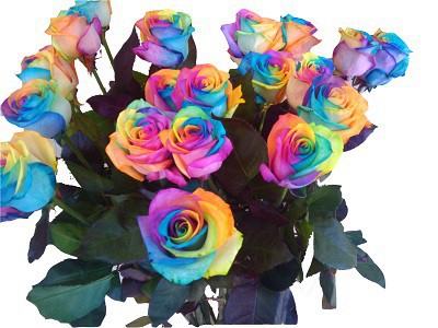 Rosas Arcoiris
