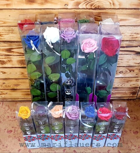 Rosa eterna con tallo