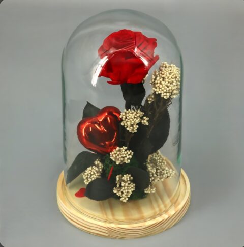 Rosa eterna "Bella y Bestia" grande