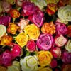 Rosas a la carta!