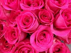 Rosas a la carta!