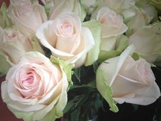 Rosas a la carta!