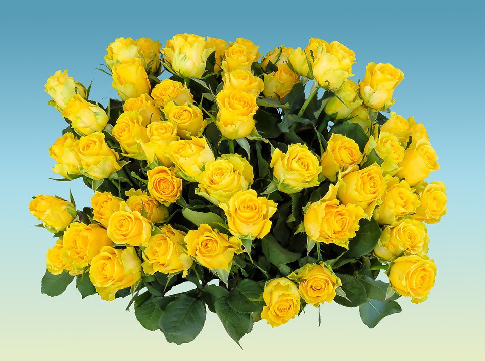 Rosas a la carta!