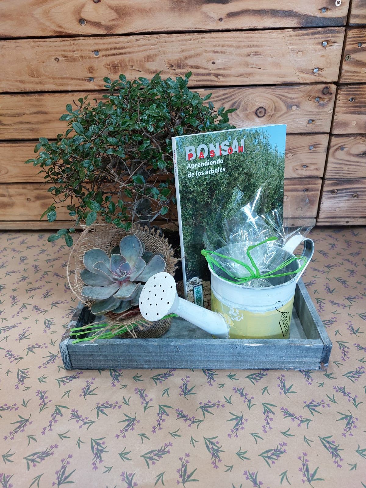 Jardinera Bonsai