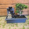 Fuente bonsai