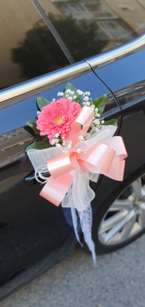 Decoracion Coche