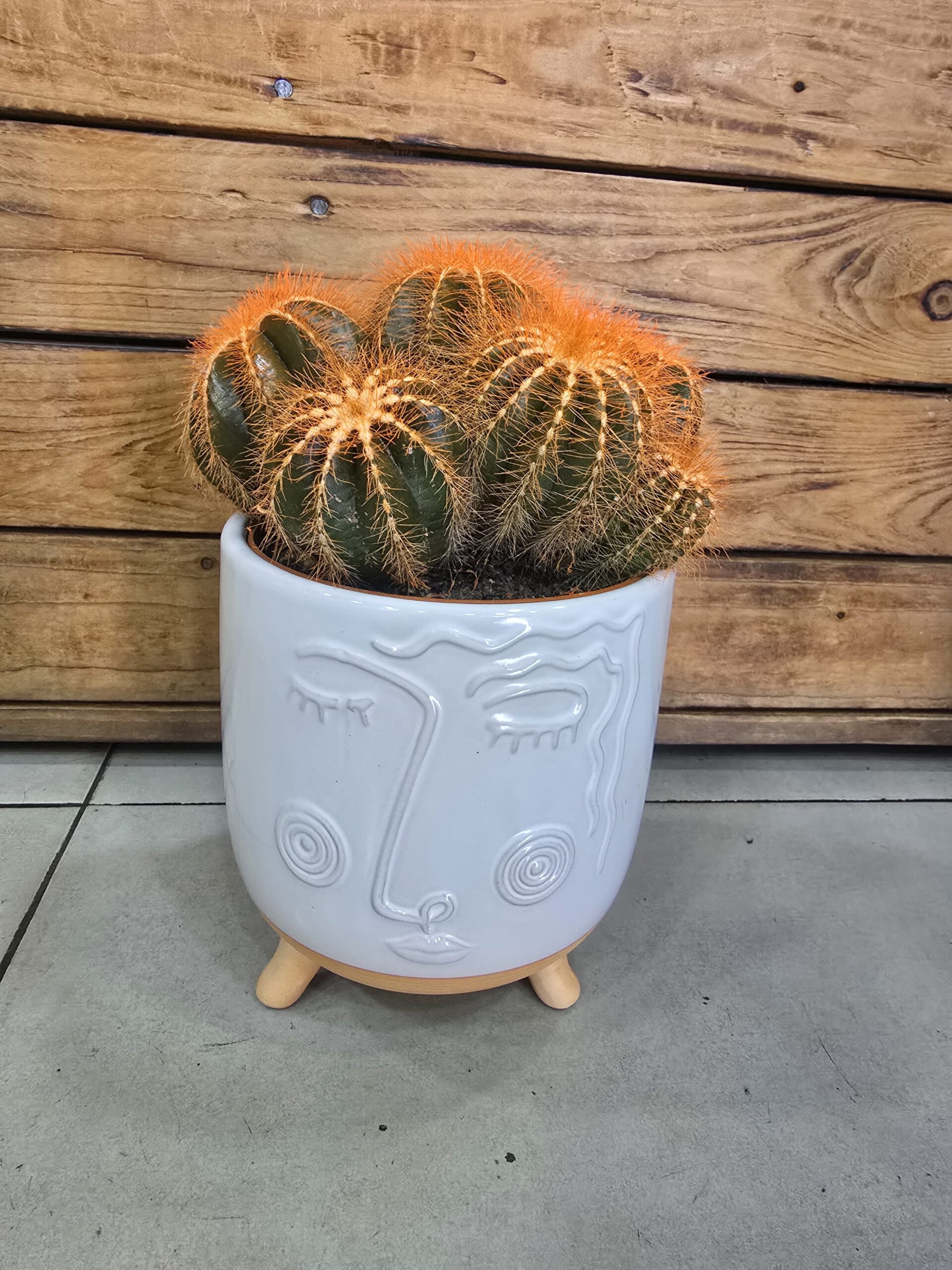 Cactus Spike