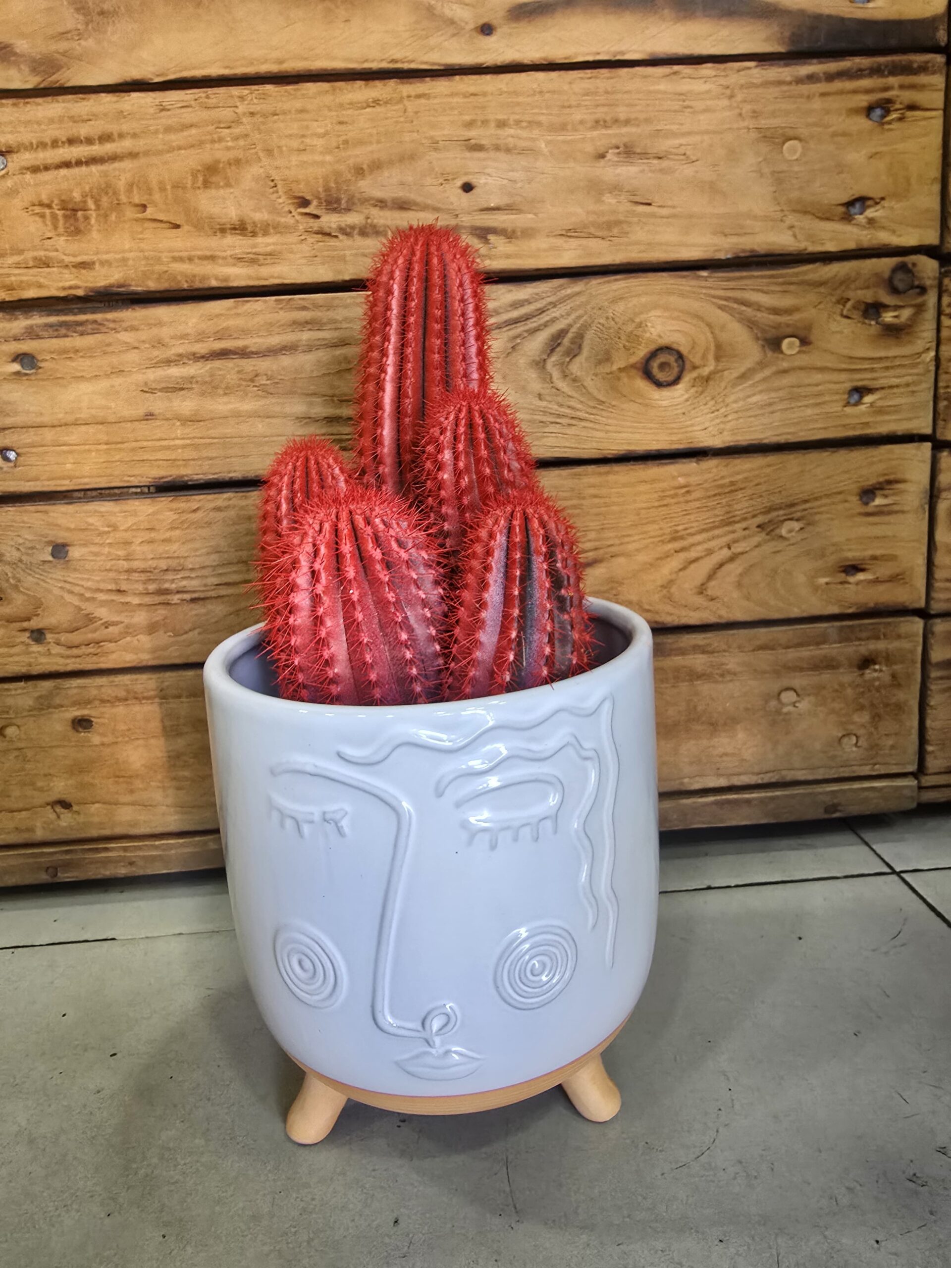 Cactus Spike