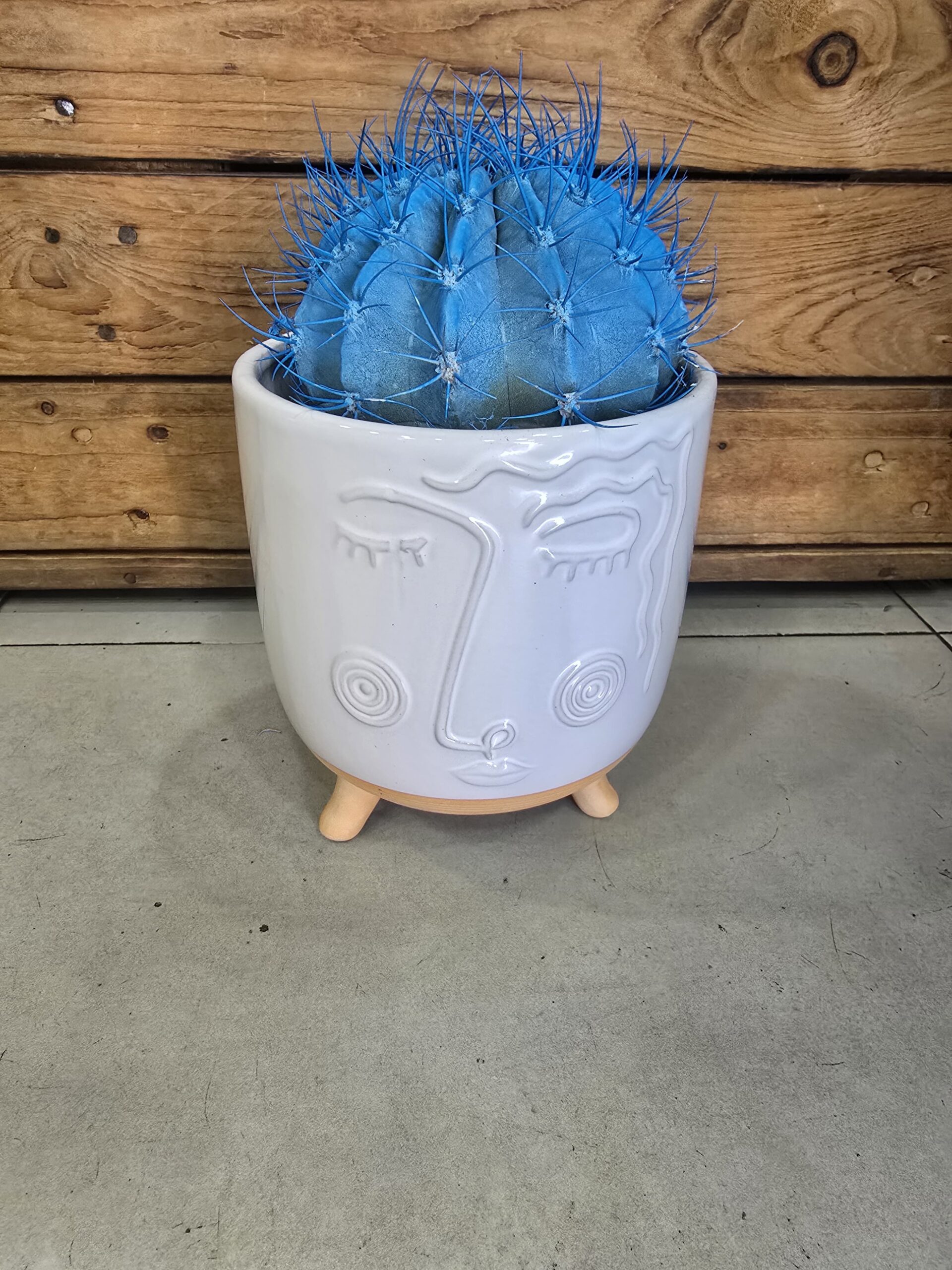 Cactus Spike