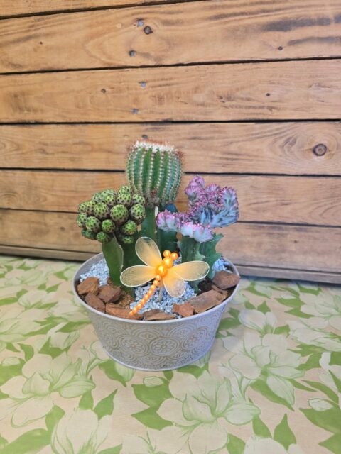 Tricactus